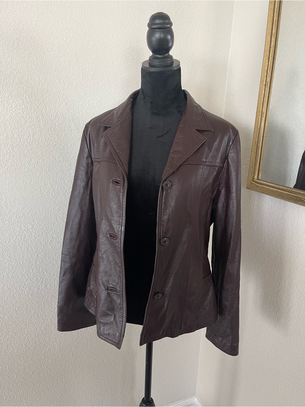 Wilsons Leather Dark Brown Button-Front Leather Jacket